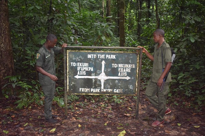 Jungle Adventure – Cross River National Park