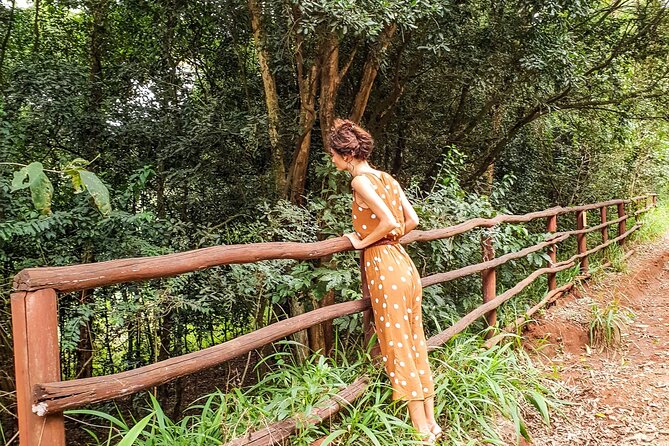 Karura Forest Hiking and Bike Tour - Good To Know