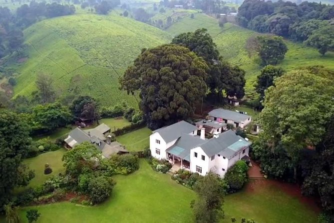 Kiambethu Tea Farm Day Tour From Nairobi - Pickup Details