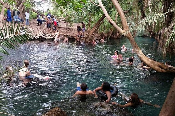 Kikuletwa (Chemka) Hot Springs Day Tour - Reviews