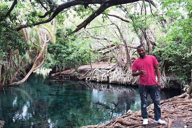 Kikuletwa Hot Spring - Inclusions and Additional Information
