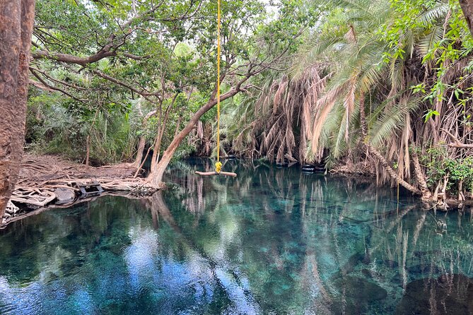 Kikuletwa Hotsprings/ Hot Springs Day Trip - Lunch and Refreshments Included