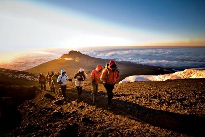 Kilimanjaro 6-Days Private Trekking Tour via Machame Route - Meeting and Pickup