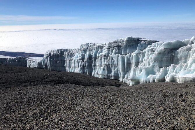 Kilimanjaro 8 Days Lemosho Route - Reviews and Ratings
