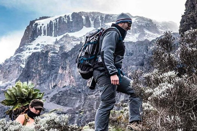 Kilimanjaro Climb - 7 Days Machame Route - Day 4: Shira Camp to Barranco Camp