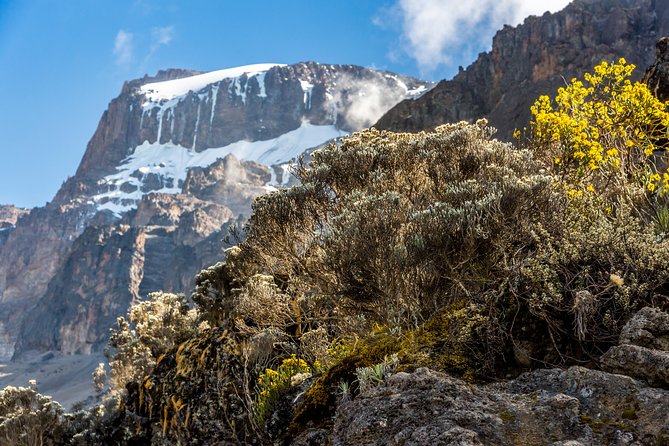 Kilimanjaro Climb, Kilimanjaro Crater Route (10-Day) - Pickup and Logistics