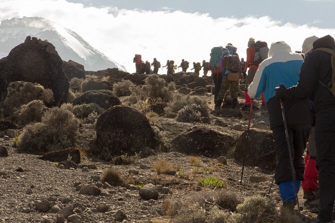 Kilimanjaro Day Hike Marangu Route - Accessibility Information