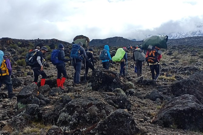 Kilimanjaro Excursion 6 Days Marangu Route - Meals Included