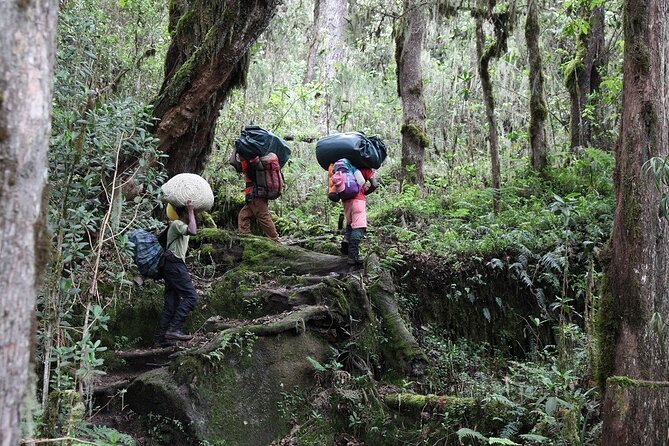 Kilimanjaro Hike 6-Day Marangu Route - Hiking Details and Itinerary