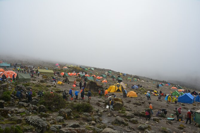 Kilimanjaro Machame Route 7 Days - Day 3: Shira Camp to Barranco Camp