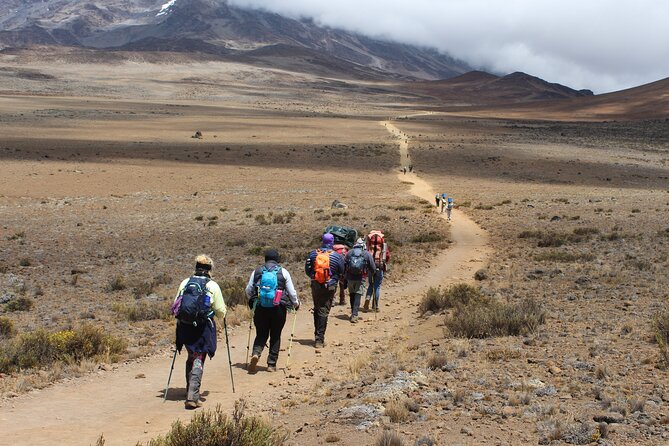 Kilimanjaro Marangu Route 6 Days - Pickup and Transportation