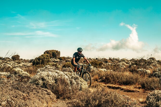 Kilimanjaro Shira Plateau Bike Day Trip - Operator Information