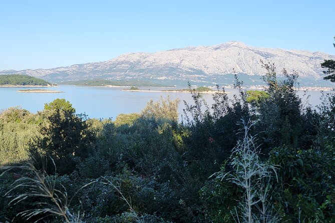 Korčula Wild Beach Early Morning Swim - Participant Criteria