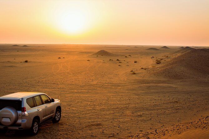 Kuwait Desert & City Half Day Private Tour Local Licensed Guide - Tour Recommendations