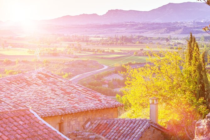La Rioja Private Tour to 3 Wineries With Wine Tasting - Pricing and Reservations