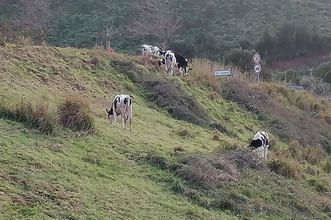 Lagoa Do Fogo and Sete-Cities Full Day Tour With Lunch - Weather Requirement