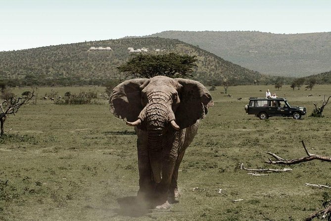 Lake Manyara National Park Full-day Tour - Directions to Lake Manyara National Park