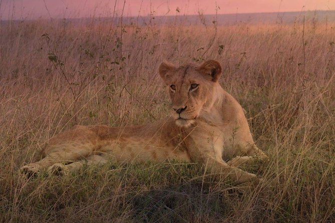 Lake Nakuru National Park Day Tour From Nairobi - Booking Information