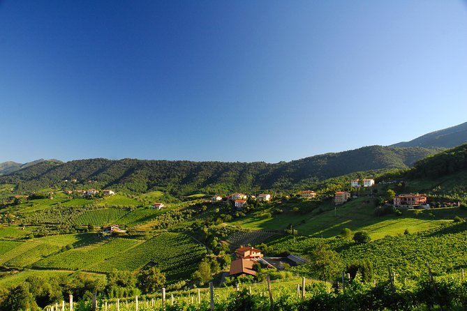 Lambrusco Making: Winery Tour - Pricing Details