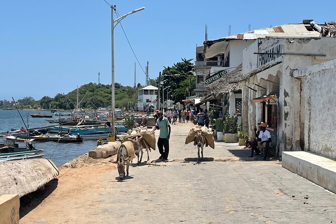Lamu Old Town Walking Tour - Booking Details