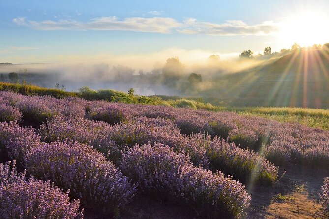 Lavender Tour From Pamukkale With Drop off Denizli Airport - Price Details