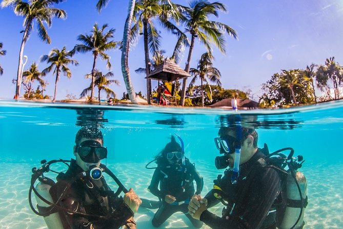 Learn to Dive PADI Open Water Diver Course - Price and Booking