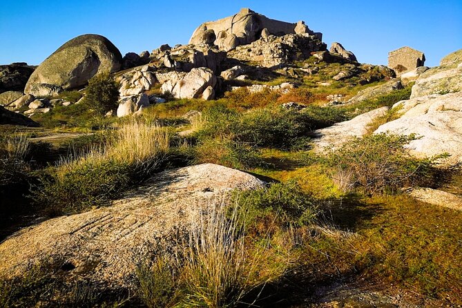 Lisbon to Portugal Highest Mountain Cheese Factory & Bread Museum - Cancellation Policy Details