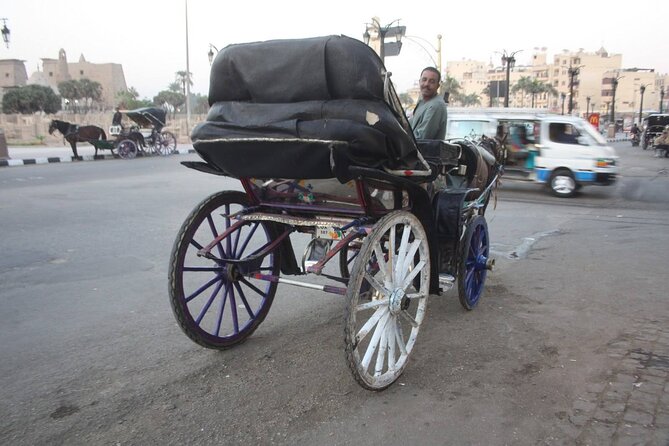 Luxor Horse-Drawn Carriage City Tour - Tour Overview
