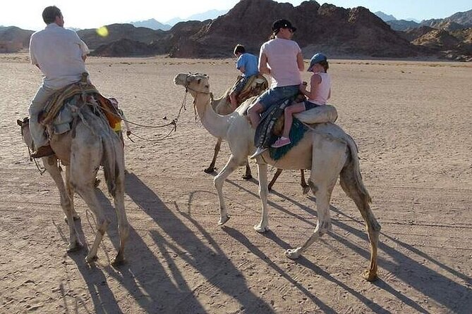 Luxor Private City Tour Camel Ride &Felucca With Transfer - Booking Instructions
