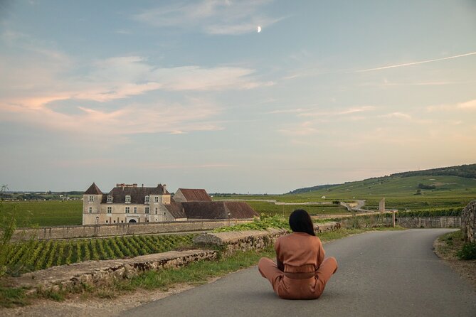 Luxurious Wine Tour in Burgundy - Flexibility and Reservation Process