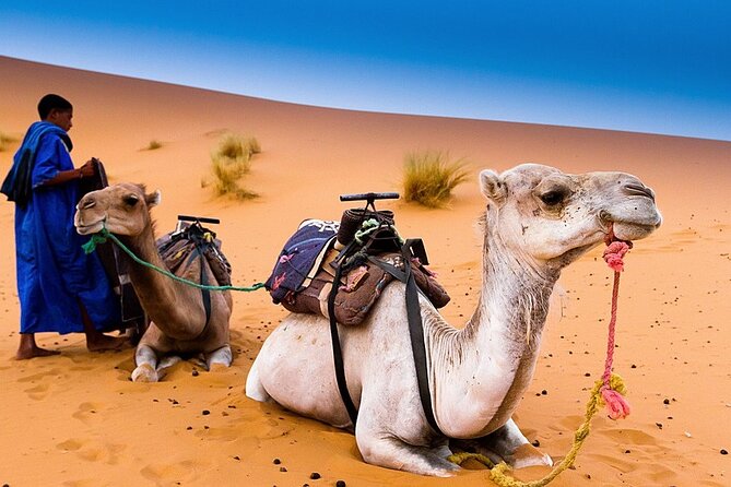Luxury Morocco Imperial Cities Sahara Desert Atlantic 15 Days - Day 4: Journey to the Sahara Desert