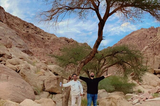 Luxury Tours in Medina With a Private Tour Guide - What To Expect