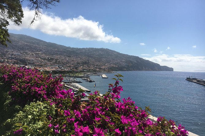 Madeira Airport Transfers Round Trip (FNC) - Additional Info
