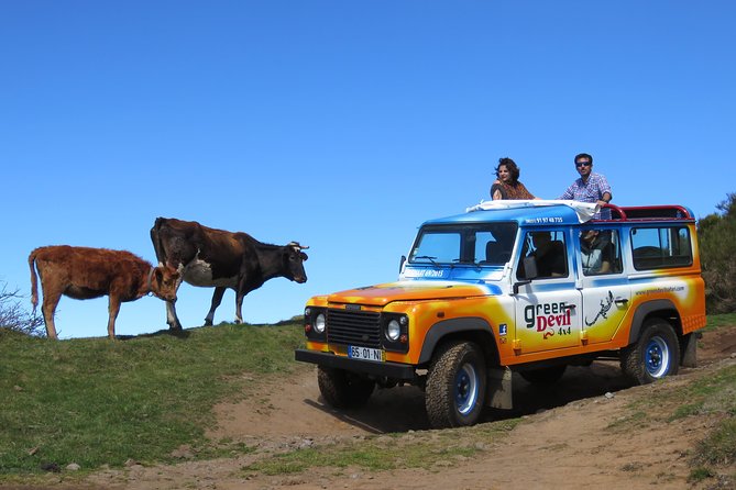 Madeira Sea Cliff and Camara De Lobos 4WD Half Day Tour