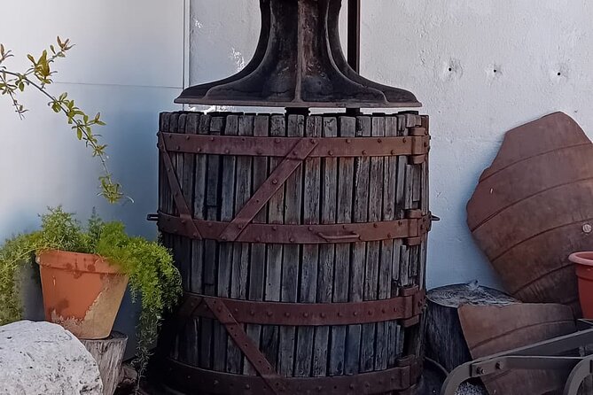 Madrid Winery Tasting Tour With Lunch - Tour Overview