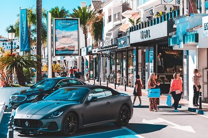 Malaga Private Shore Excursion to Marbella and Puerto Banus - Cancellation Policy