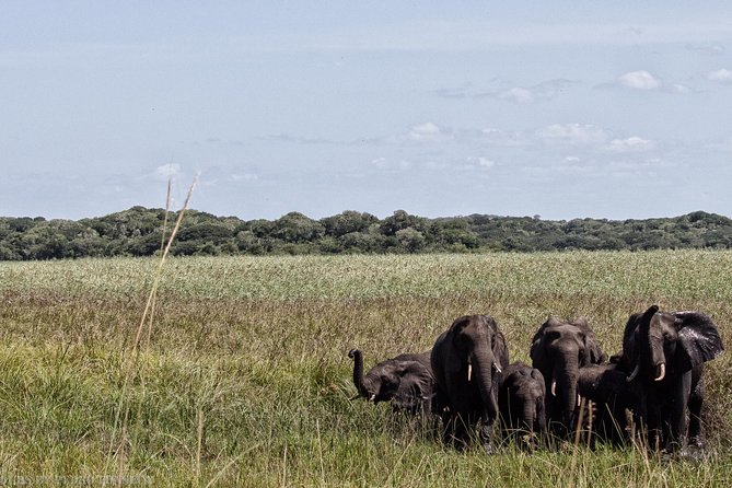 Maputo Special Reserve - 1 Day - Inclusions
