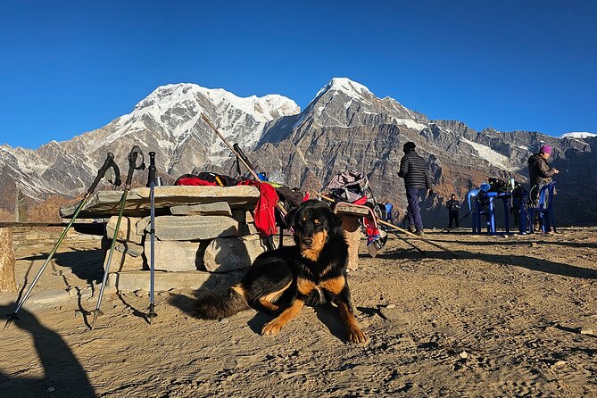 Mardi Himal Trek - Reviews