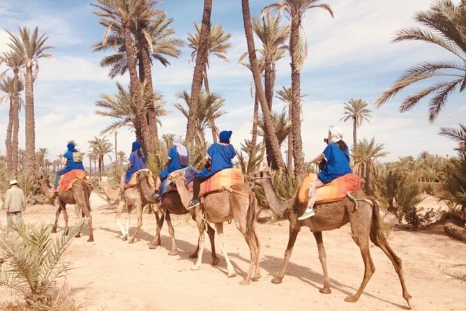 Marrakech Experience: Ourika Valley Berber Villages and Setti Fatma Waterfalls - Private Tour Experience