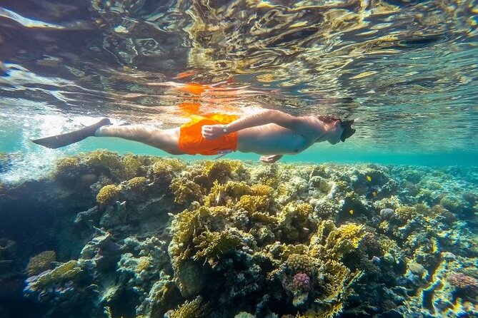 Marsa Mubarak Sea Snorkeling Boat Trip From Marsa Alam - Whats Included