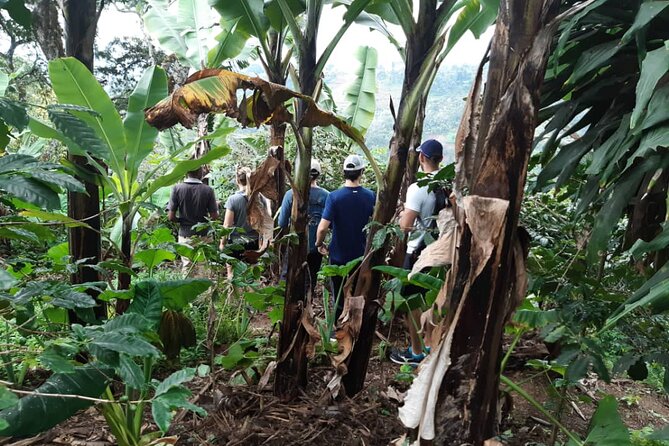 Materuni Day Trip - Price and Booking Details