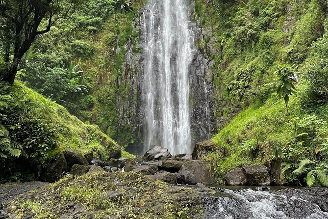 Materuni Waterfall and Coffee Plantation Half Day Tour - Tour Details