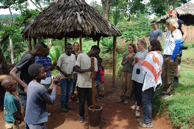 Materuni Waterfalls, Coffee and Village Full Day Tour
