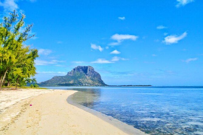 Mauritius : Dolphins Swim and Ile Aux Bénitiers With BBQ - The Sum Up