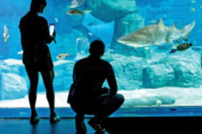 Mauritius Odysseo Oceanarium in Port Louis - Pricing and Booking
