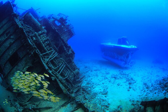 Mauritius Unique Submarine Tour - Tour Highlights