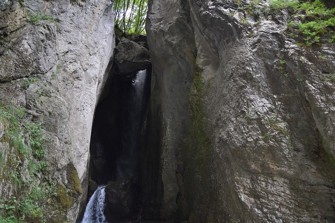 Mavrovo Tour From Ohrid - Booking Details