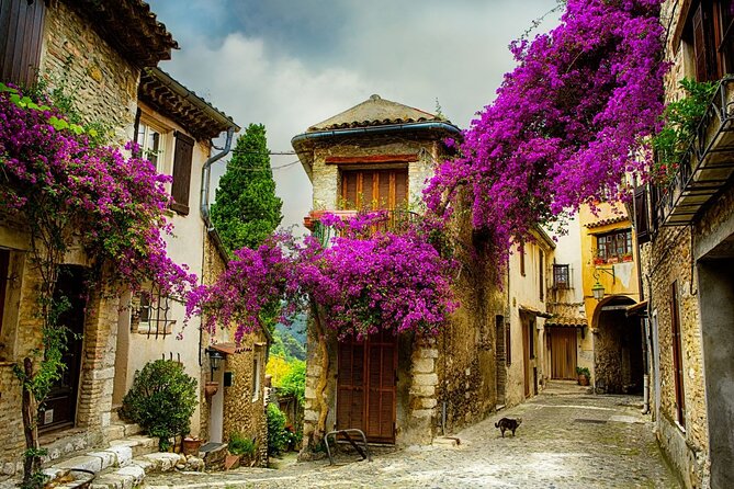 Medieval Villages of the French Riviera Private Tour - Inclusions