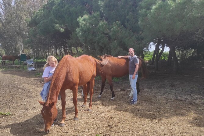 Meditation Activity: Mindfulness With Horses in Zahora - Cancellation Policy