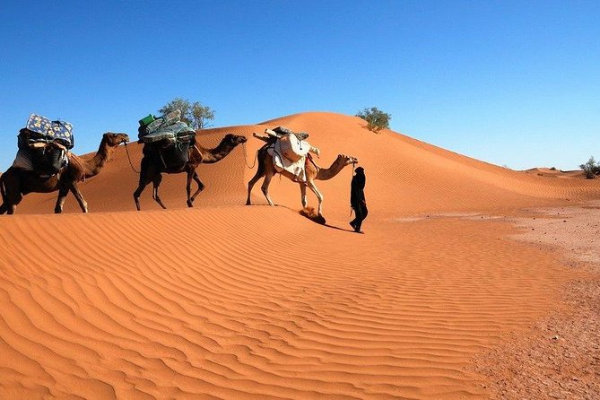 Méhari Trip in the Desert From M'hamid - Safety Guidelines